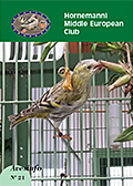 Avesinfo n°21