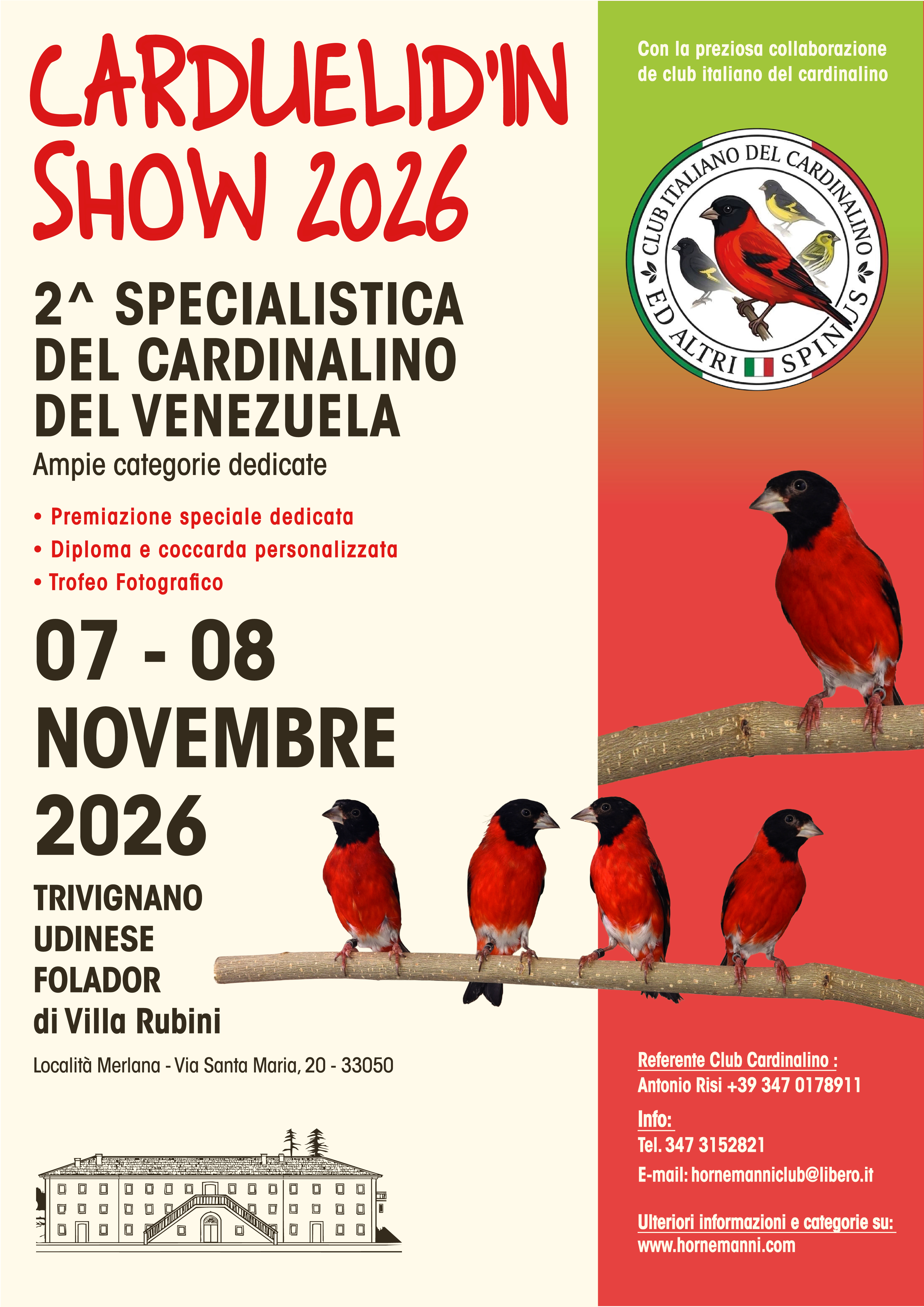 Locandina Cardinalino