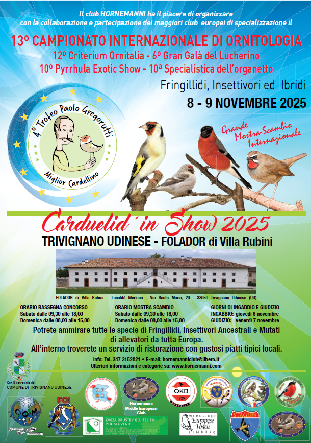 Carduelid'in Show 2024