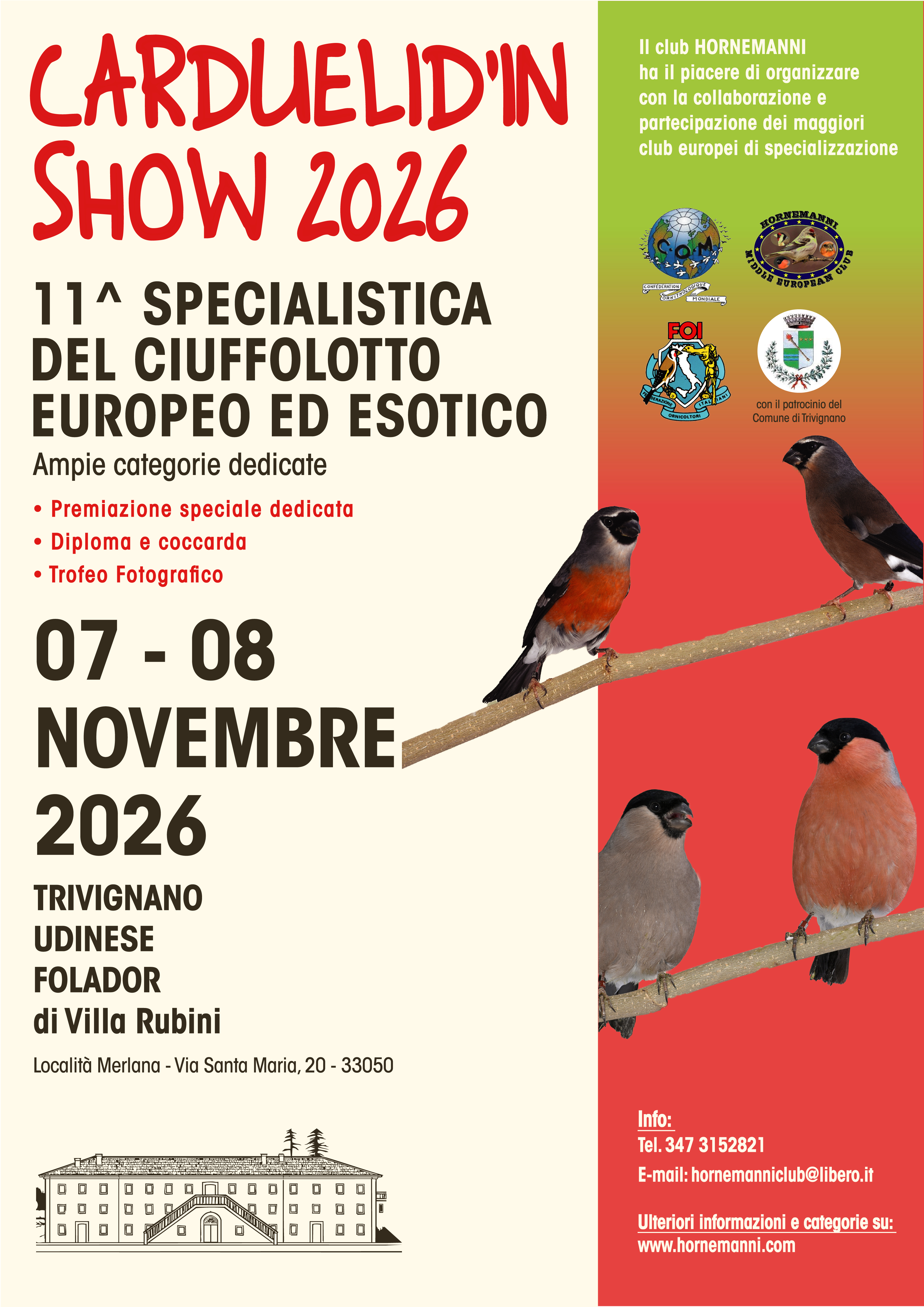 Locandina Cardinalini 1